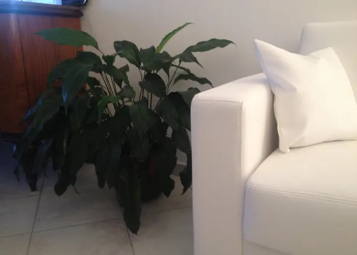 Via Roma - Bed and Breakfast 4*